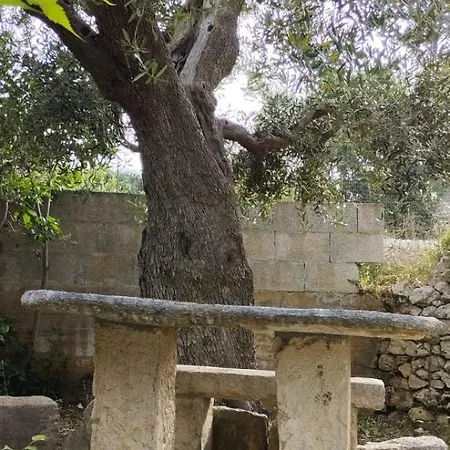 Bellino Castellana Grotte